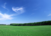 photo-hojin1.jpg
